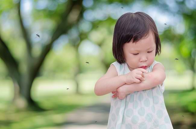 Cara Aman Dan Efektif Mencegah Anak Dari Gigitan Nyamuk Alodokter